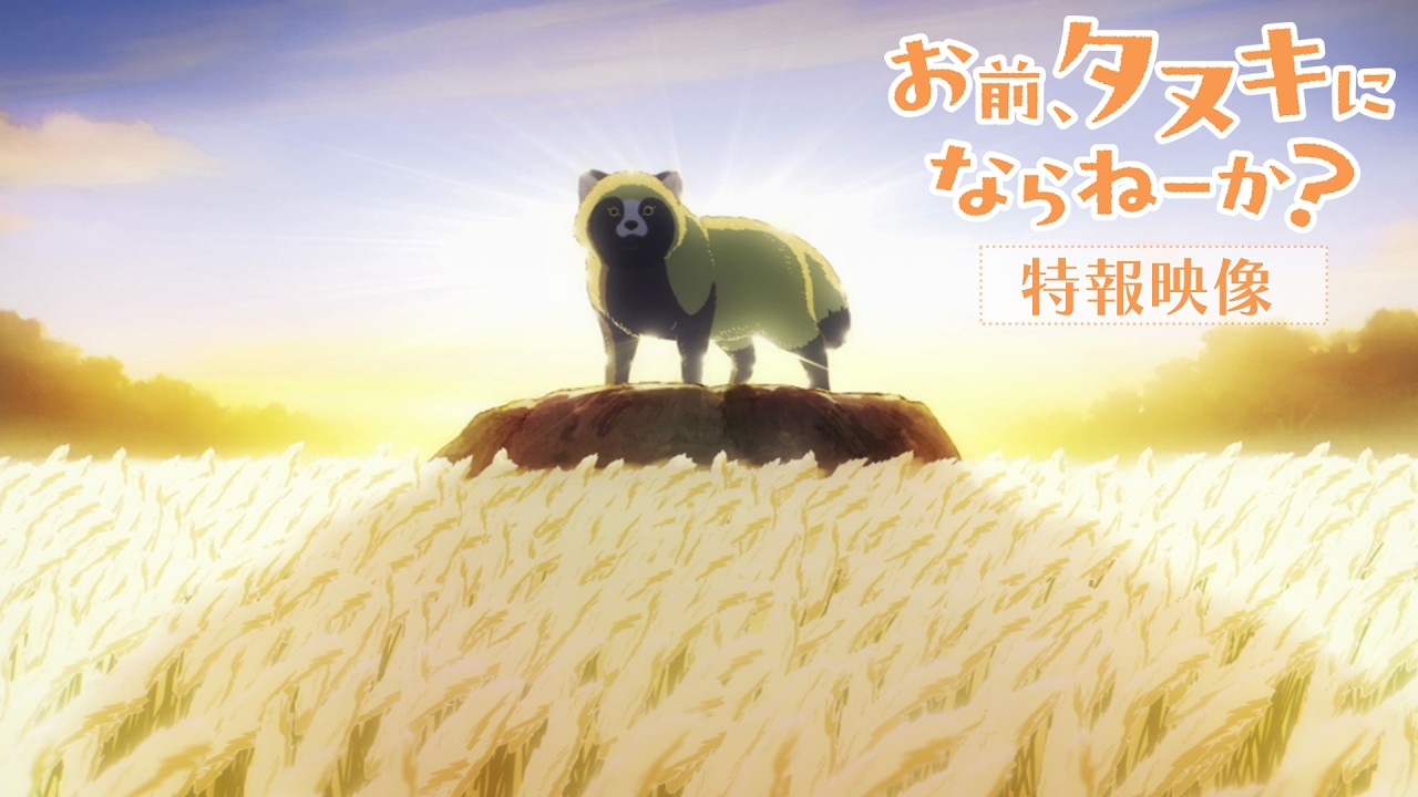Omae, Tanuki ni Narane ka? ganhará anime pelo estúdio Nippon Animation