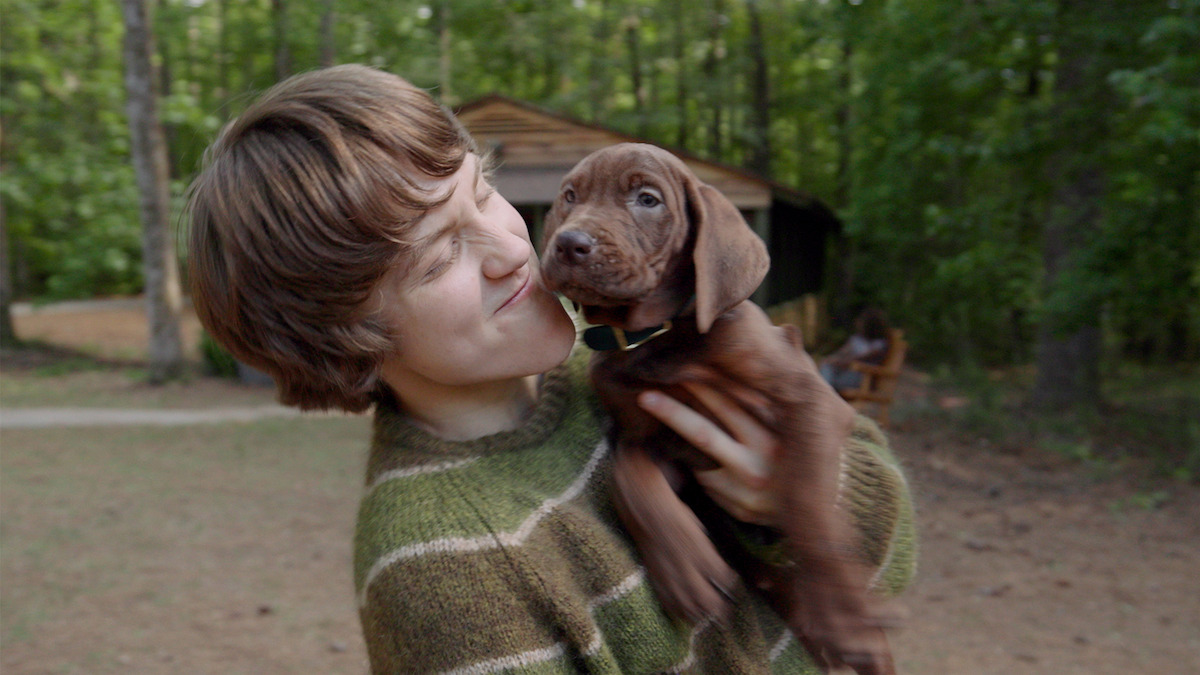 Scooby-Doo: Origins: Netflix revela primeira imagem da série live-action com um filhote de Dogue Alemão de verdade