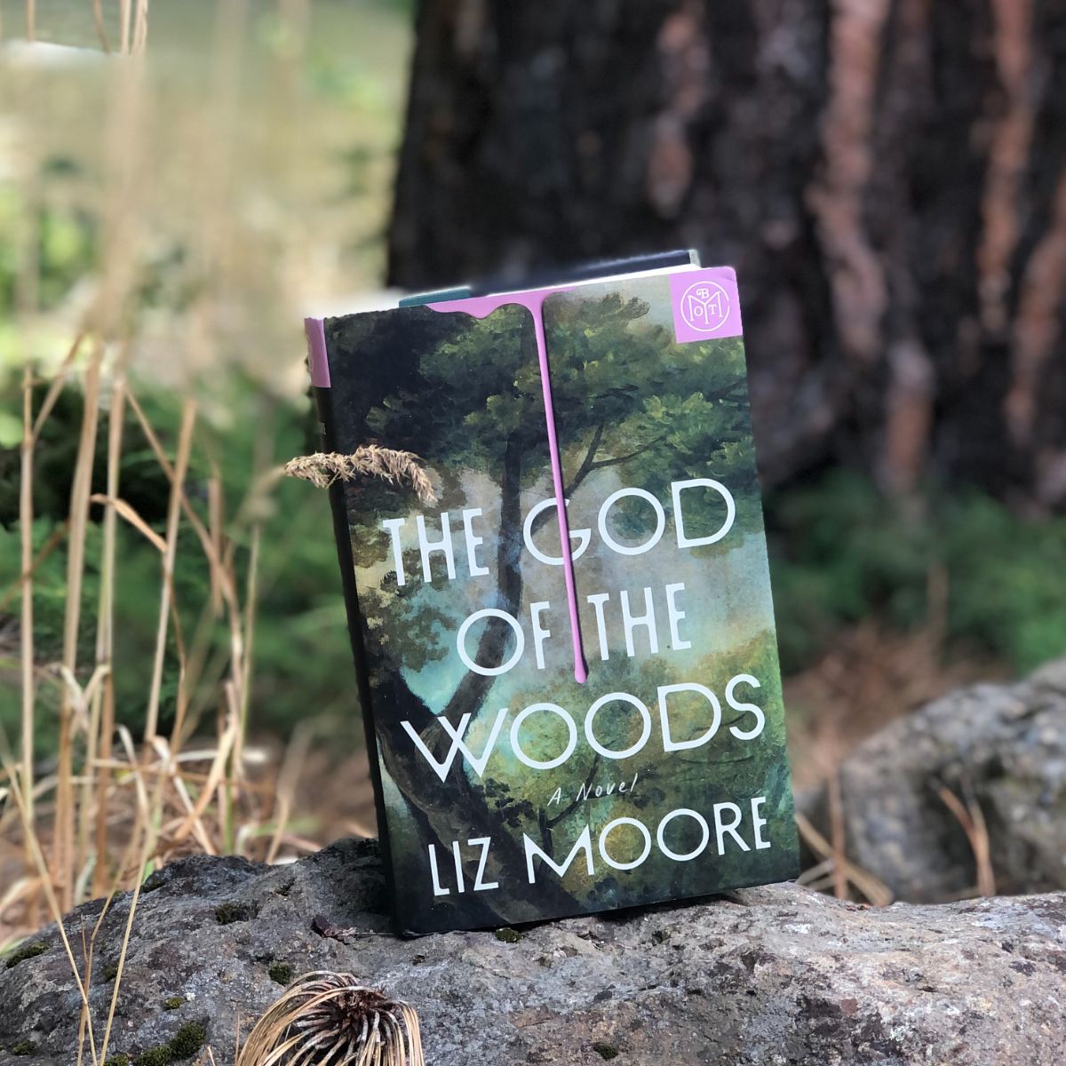 The God of the Woods aposta em mistério e drama familiar